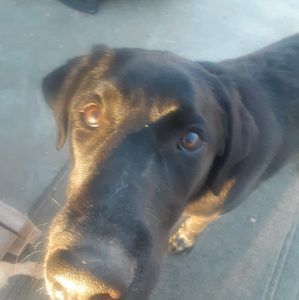 Meet your Posher, Travis